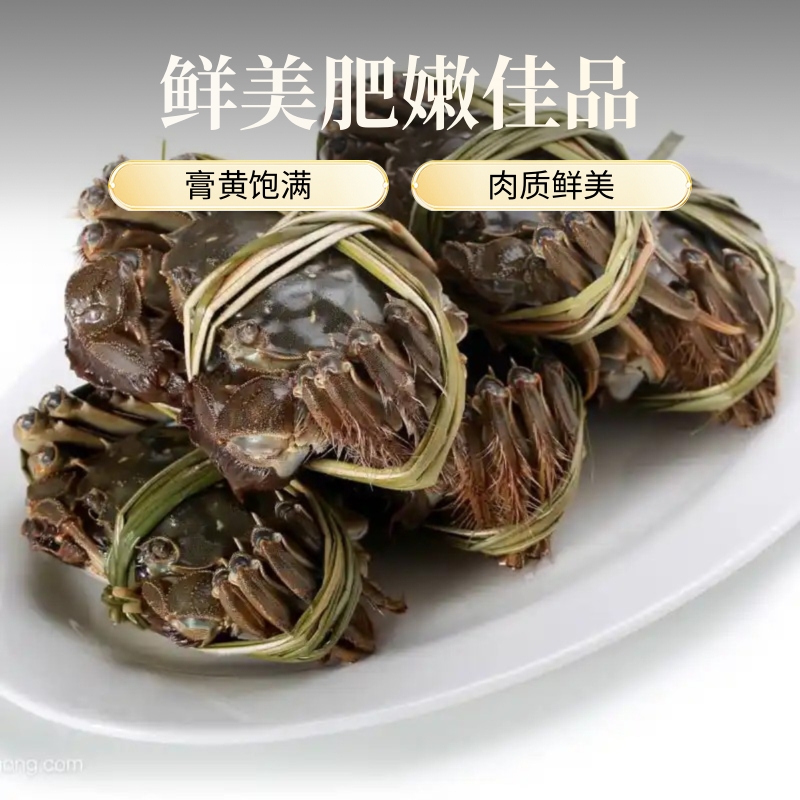 绿庭弘 是什么品牌？