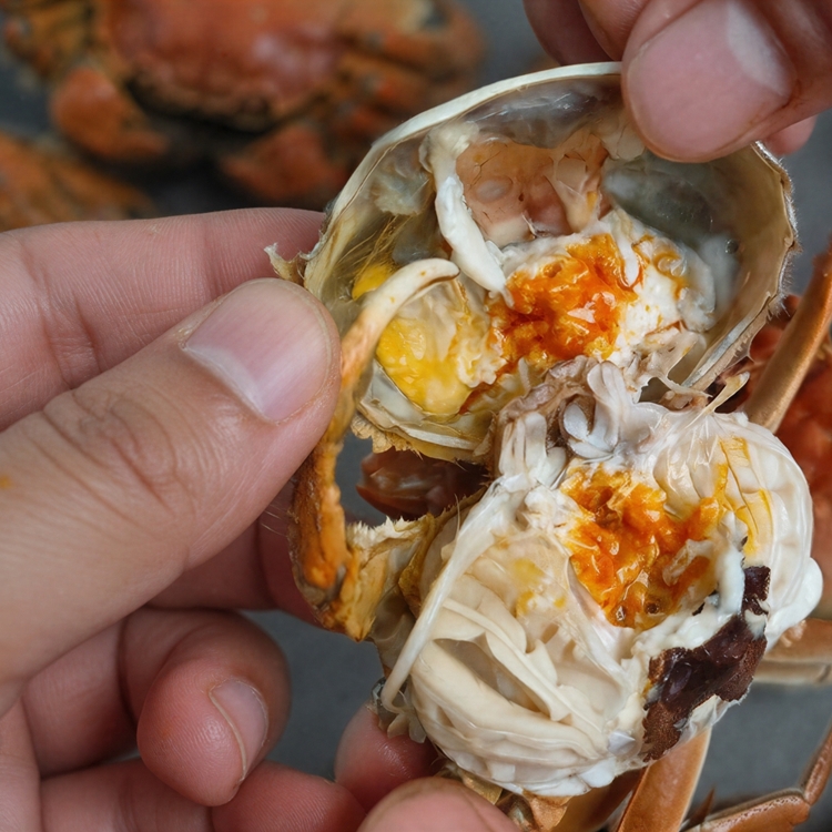 绿庭弘兴化大闸蟹：一缕兴化水乡味，一蟹寄团圆