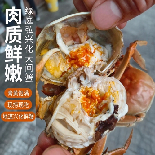 湖蟹本味，一钳一韵皆自然——走近绿庭弘·兴化大闸蟹