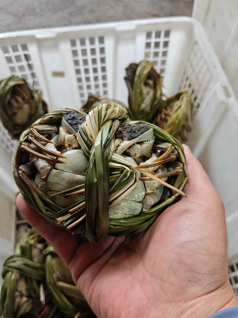 兴化大闸蟹